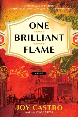 Eine leuchtende Flamme - One Brilliant Flame