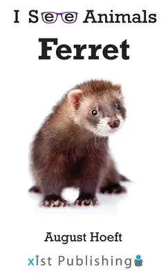 Frettchen - Ferret