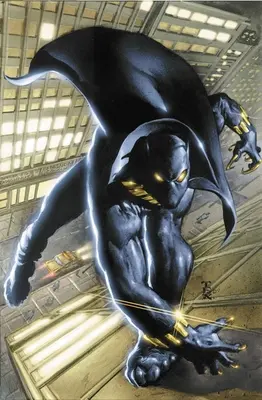 Schwarzer Panther von Christopher Priest Omnibus Bd. 1 - Black Panther by Christopher Priest Omnibus Vol. 1