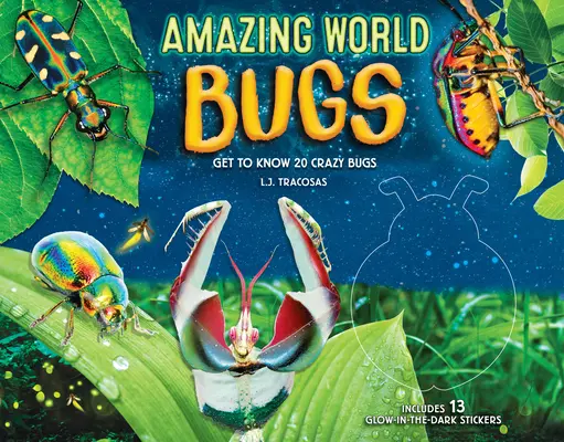 Erstaunliche Welt: Käfer: Lerne 20 verrückte Käfer kennen - Amazing World: Bugs: Get to Know 20 Crazy Bugs