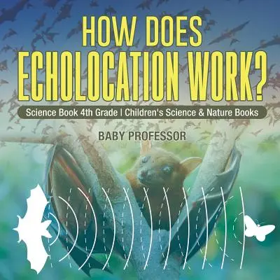 Wie funktioniert die Echolokation? Wissenschaftsbuch 4. Klasse Kinder Wissenschaft & Natur Bücher - How Does Echolocation Work? Science Book 4th Grade Children's Science & Nature Books