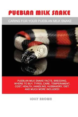 Pueblan-Milchschlange: Pueblan Milchschlange Fakten, Zucht, wo zu kaufen, Arten, Pflege, Temperament, Kosten, Gesundheit, Handhabung, Haltung, Ernährung, ein - Pueblan Milk Snake: Pueblan Milk Snake facts, breeding, where to buy, types, care, temperament, cost, health, handling, husbandry, diet, a