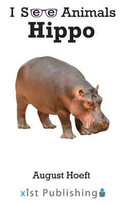Nilpferd - Hippo