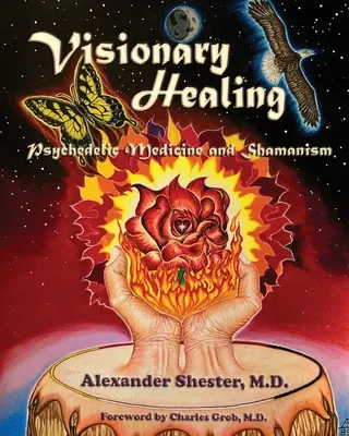 VISIONÄRE HEILUNG Psychedelische Medizin und Schamanismus - VISIONARY HEALING Psychedelic Medicine and Shamanism