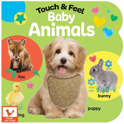 Baby-Tiere zum Anfassen und Fühlen - Touch & Feel Baby Animals