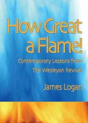 Wie groß eine Flamme ist: Zeitgenössische Lehren aus der Wesleyanischen Erweckung - How Great A Flame: Contemporary Lessons from the Wesleyan Revival