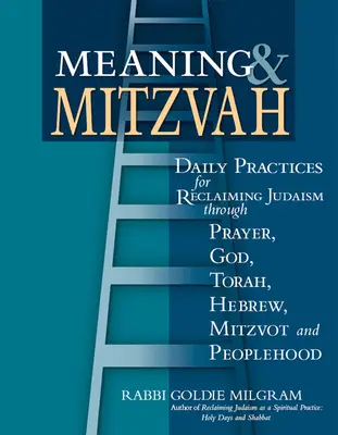 Sinn & Mitzvah: Tägliche Praktiken zur Wiedergewinnung des Judentums durch Gebet, Gott, Tora, Hebräisch, Mitzvot und Volkstum - Meaning & Mitzvah: Daily Practices for Reclaiming Judaism Through Prayer, God, Torah, Hebrew, Mitzvot and Peoplehood