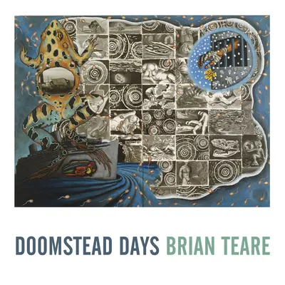 Doomstead-Tage - Doomstead Days