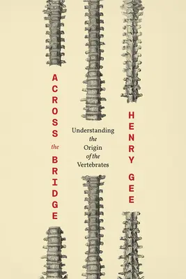 Über die Brücke: Den Ursprung der Wirbeltiere verstehen - Across the Bridge: Understanding the Origin of the Vertebrates