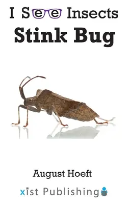 Stinkwanze - Stink Bug