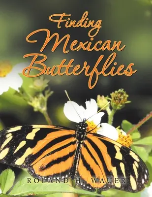 Auf der Suche nach mexikanischen Schmetterlingen - Finding Mexican Butterflies