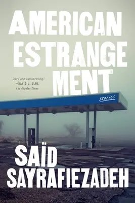 Amerikanische Entfremdung: Erzählungen - American Estrangement: Stories