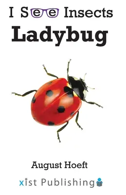 Marienkäfer - Ladybug