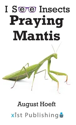 Gottesanbeterin - Praying Mantis