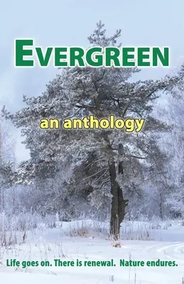 Immergrün - Evergreen