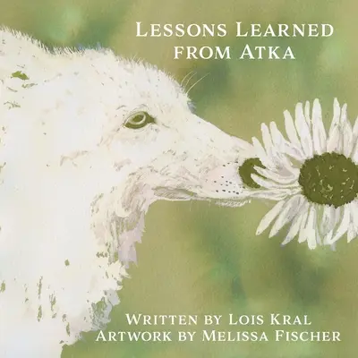 Lehren aus Atka - Lessons Learned from Atka