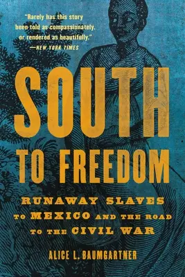 Nach Süden in die Freiheit: Entlaufene Sklaven in Mexiko und der Weg in den Bürgerkrieg - South to Freedom: Runaway Slaves to Mexico and the Road to the Civil War
