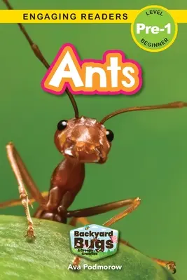 Ameisen: Käfer und Krabbeltiere im Garten (Engaging Readers, Stufe Pre-1) - Ants: Backyard Bugs and Creepy-Crawlies (Engaging Readers, Level Pre-1)