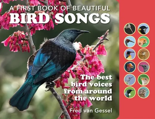 Ein Buch mit wunderschönen Vogelstimmen: Die besten Vogelstimmen aus aller Welt - A Book of Beautiful Bird Songs: The Best Bird Voices from Around the World