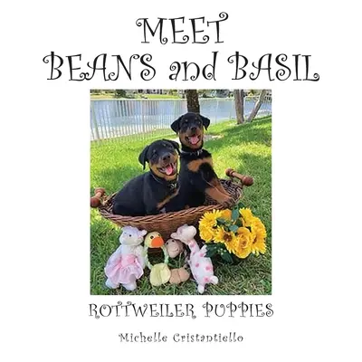 Treffen mit Bohnen und Basilikum - Meet Beans and Basil