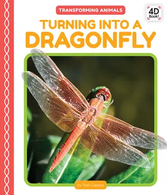 Verwandlung in eine Libelle - Turning Into a Dragonfly