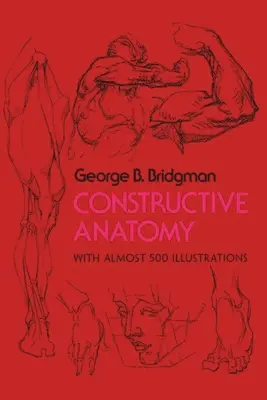 Konstruktive Anatomie - Constructive Anatomy