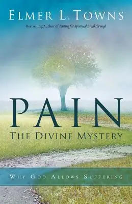 Schmerz: Das göttliche Mysterium: Warum Gott Leiden zulässt - Pain: The Divine Mystery: Why God Allows Suffering