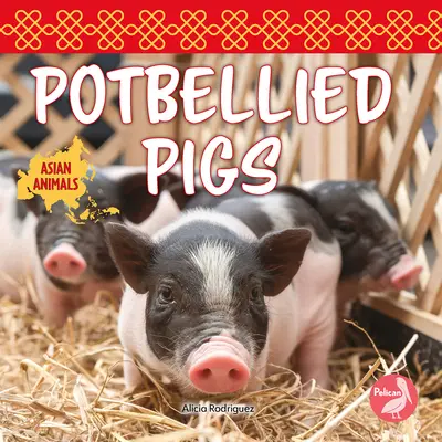 Hängebauchschweine - Potbellied Pigs