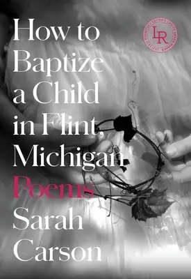 Wie man ein Kind in Flint, Michigan, tauft: Gedichte - How to Baptize a Child in Flint, Michigan: Poems