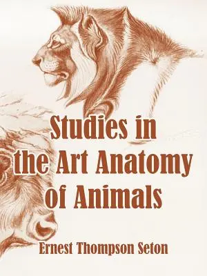 Studien zur künstlerischen Anatomie der Tiere - Studies in the Art Anatomy of Animals