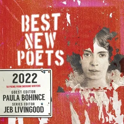 Best New Poets 2022: 50 Gedichte von aufstrebenden Schriftstellern - Best New Poets 2022: 50 Poems from Emerging Writers