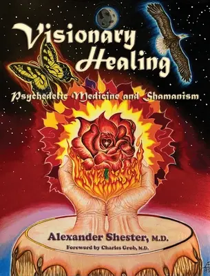 VISIONÄRE HEILUNG Psychedelische Medizin und Schamanismus - VISIONARY HEALING Psychedelic Medicine and Shamanism