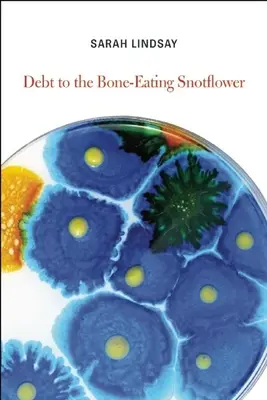 Schuld an der knochenfressenden Rotzblume - Debt to the Bone-Eating Snotflower