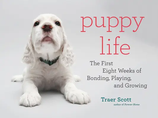 Welpenleben: Die ersten acht Wochen der Bindung, des Spielens und des Wachsens - Puppy Life: The First Eight Weeks of Bonding, Playing, and Growing