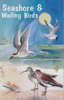 Meeresküsten- und Watvögel in Florida - Seashore and Wading Birds of Florida