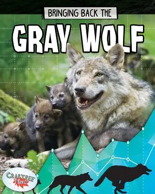 Die Rückkehr des Grauwolfs - Bringing Back the Gray Wolf