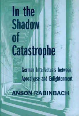 Im Schatten der Katastrophe: Deutsche Intellektuelle zwischen Apokalypse und AufklärungBand 14 - In the Shadow of Catastrophe: German Intellectuals Between Apocalypse and Enlightenmentvolume 14