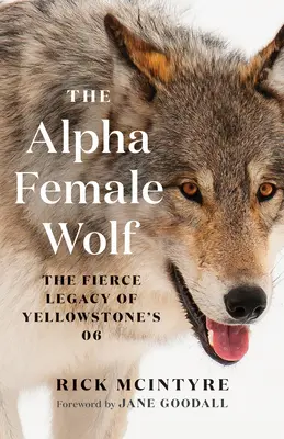 Das Alphaweibchen Wolf: Das wilde Erbe von Yellowstone's 06 - The Alpha Female Wolf: The Fierce Legacy of Yellowstone's 06