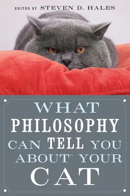 Was die Philosophie Ihnen über Ihre Katze sagen kann - What Philosophy Can Tell You about Your Cat