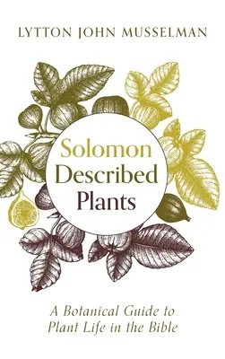 Salomonisch beschriebene Pflanzen - Solomon Described Plants