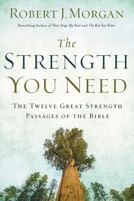 Die Stärke, die Sie brauchen: Die zwölf großen Krafttexte der Bibel - The Strength You Need: The Twelve Great Strength Passages of the Bible