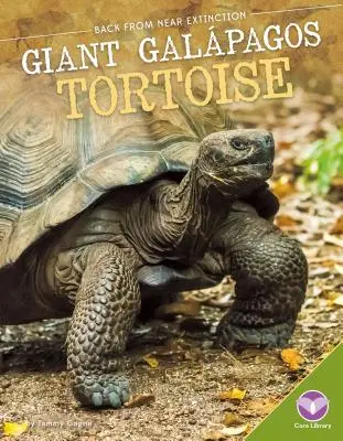 Galpagos-Riesenschildkröte - Giant Galpagos Tortoise