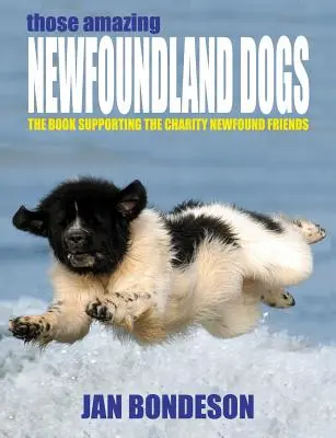 Die erstaunlichen Neufundländer-Hunde - Those Amazing Newfoundland Dogs