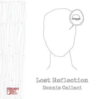 Verlorene Reflexion - Lost Reflection