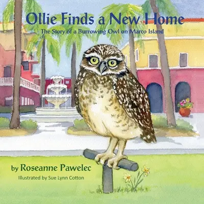Ollie findet ein neues Zuhause: Die Geschichte einer Kanincheneule auf Marco Island - Ollie Finds a New Home, The Story of a Burrowing Owl on Marco Island