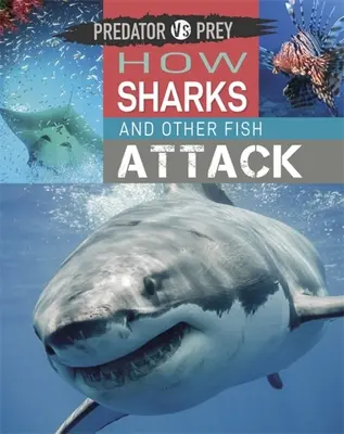 Raubtier gegen Beute: Wie Haie und andere Fische angreifen! - Predator Vs Prey: How Sharks and Other Fish Attack!