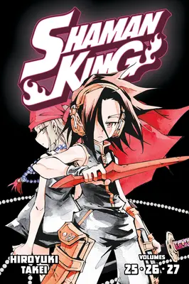 Schamanenkönig Omnibus 9 (Bd. 25-27) - Shaman King Omnibus 9 (Vol. 25-27)