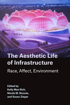 Das ästhetische Leben der Infrastruktur: Ethnie, Affekt, Umwelt - The Aesthetic Life of Infrastructure: Race, Affect, Environment