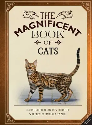 Das großartige Buch der Katzen: (Kinderbücher über Katzen, Katzenbücher für die Mittelstufe, Bücher über Tiere) - The Magnificent Book of Cats: (Kids Books about Cats, Middle Grade Cat Books, Books about Animals)