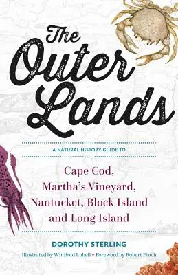 The Outer Lands: Ein naturkundlicher Führer zu Cape Cod, Martha's Vineyard, Nantucket, Block Island und Long Island - The Outer Lands: A Natural History Guide to Cape Cod, Martha's Vineyard, Nantucket, Block Island, and Long Island